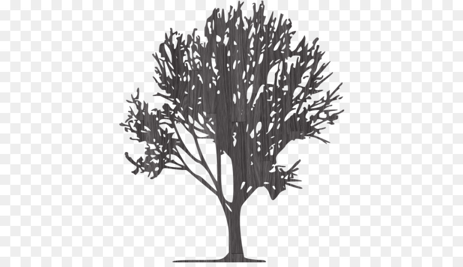 شجرة，أيقونات الكمبيوتر PNG