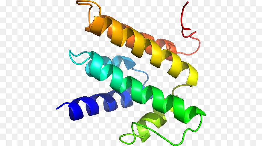 هيكل البروتين，علم الأحياء PNG