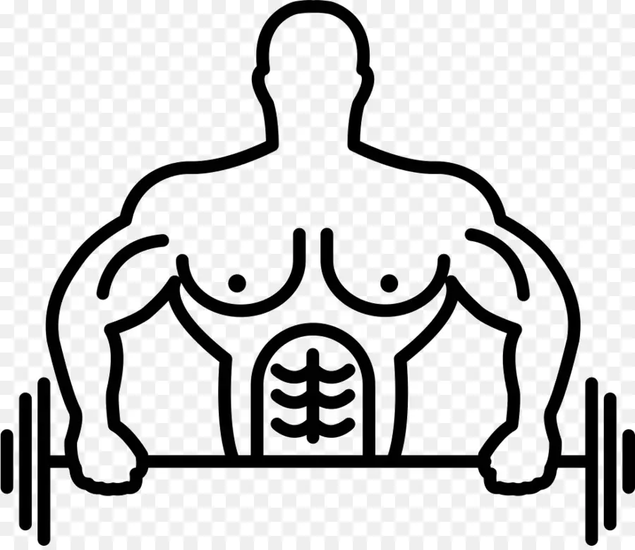 جسم الإنسان，العضلات PNG
