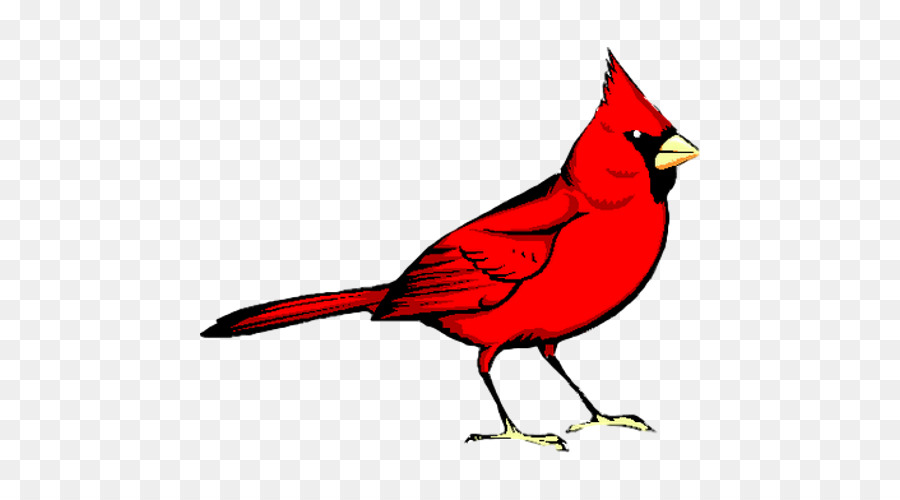 الطيور الحمراء عيادة الحيوانات，الطيور PNG