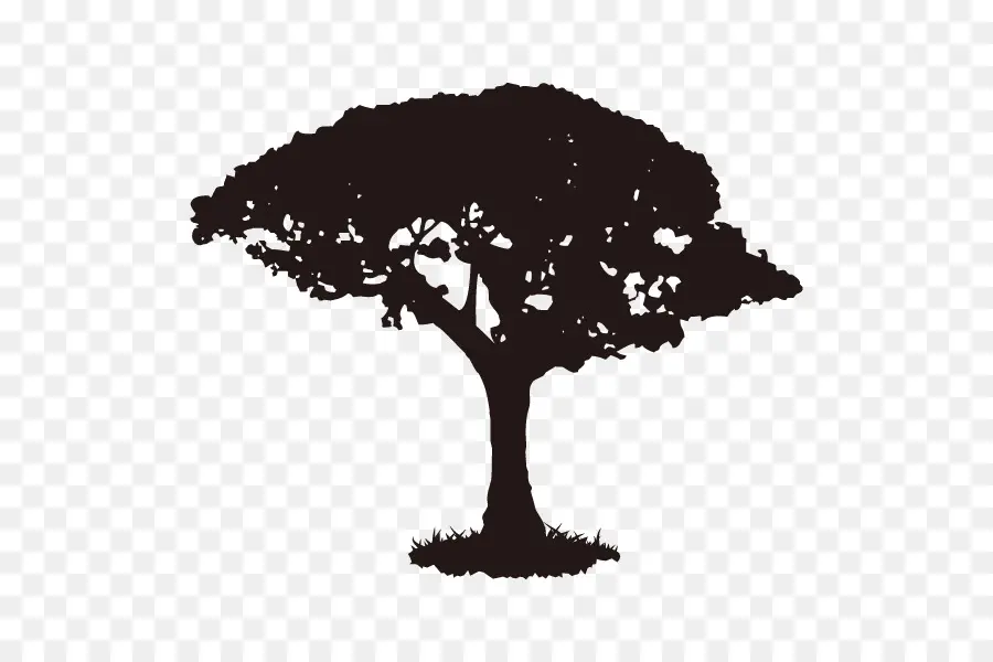 صورة ظلية ،，شجرة PNG