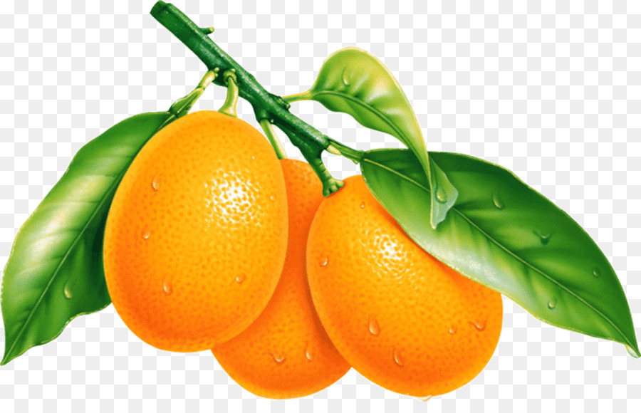 برتقال ذهبي，البرتقال PNG