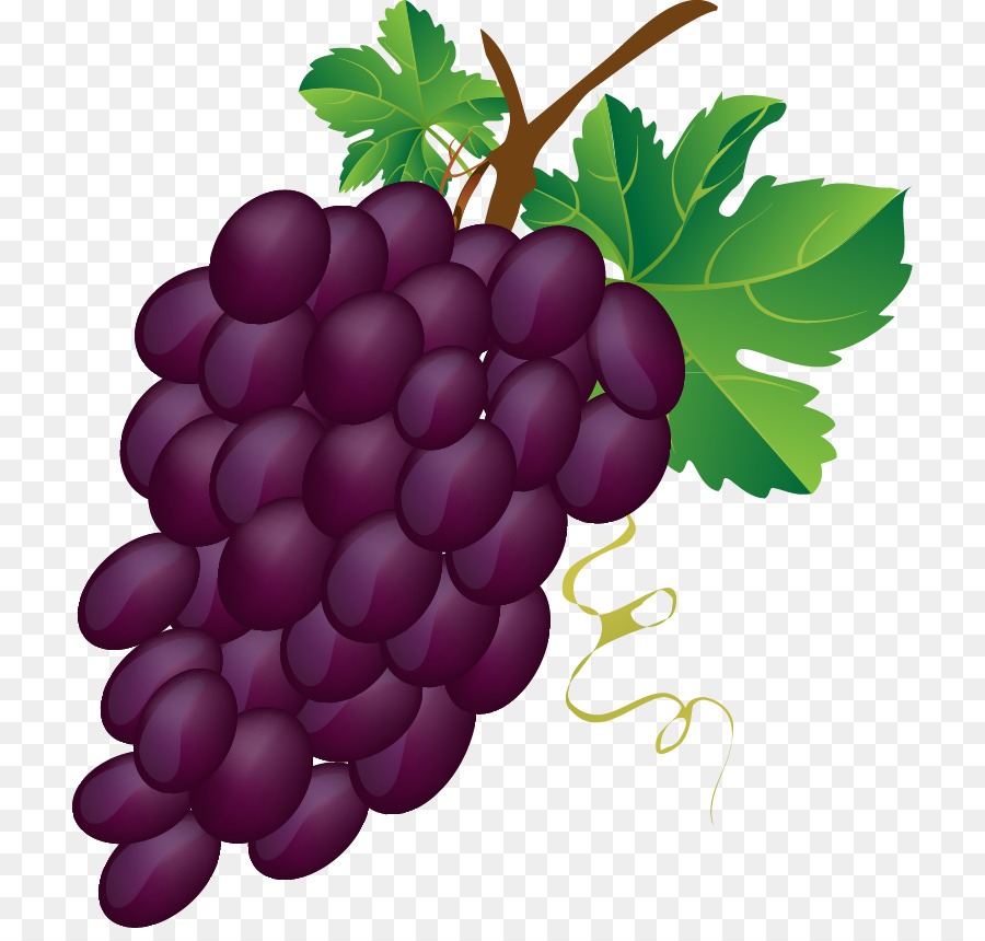 العنب，المشتركة كرمة العنب PNG