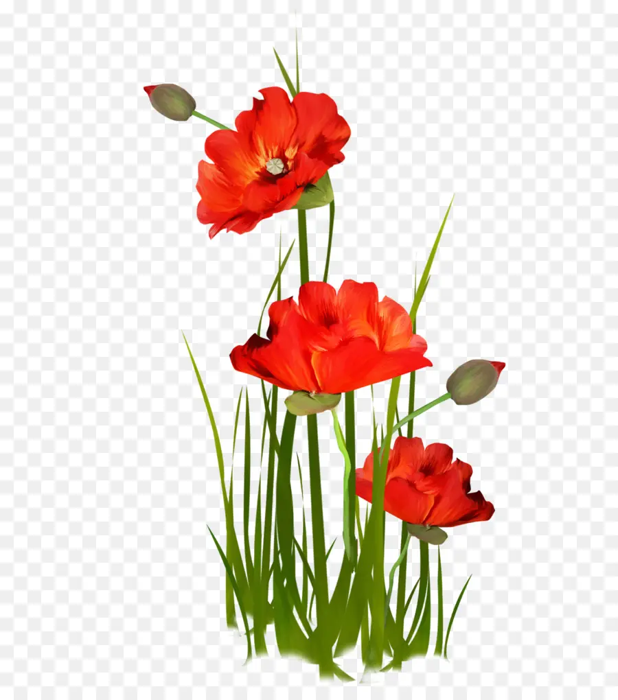 زهرة，تصميم الأزهار PNG