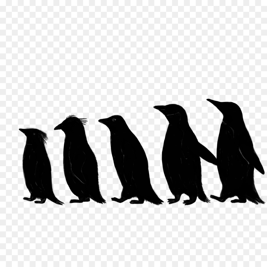 البطريق，الحيوانات PNG