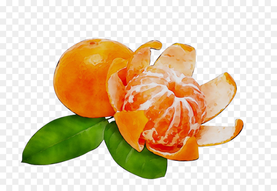 برتقال，اليوسفي PNG