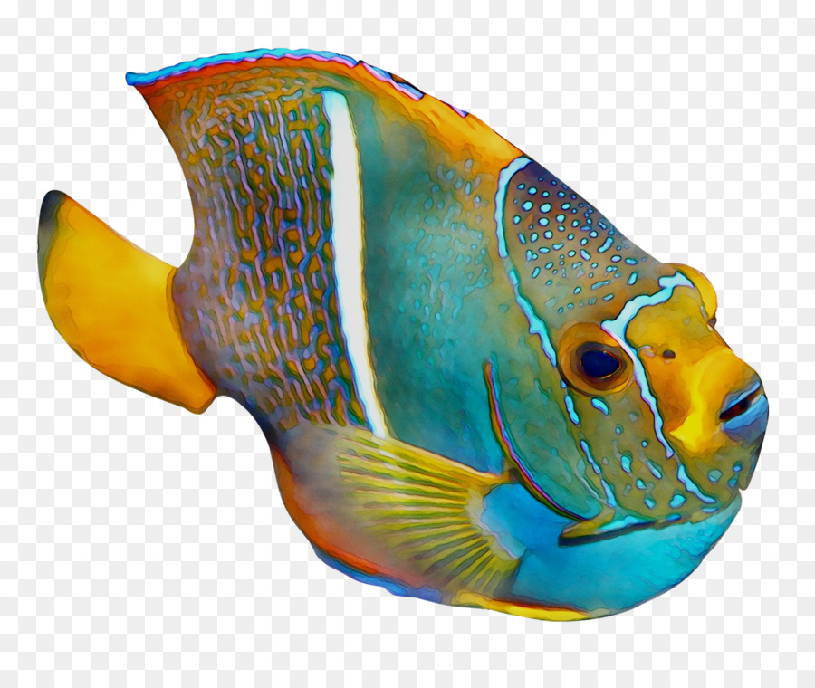 الشعاب المرجانية والأسماك，علم الأحياء البحرية PNG