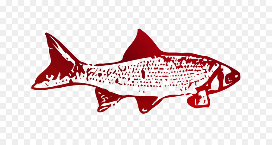 القرش，شعار PNG