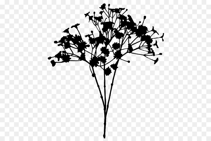 زهرة，الجذعية النباتية PNG