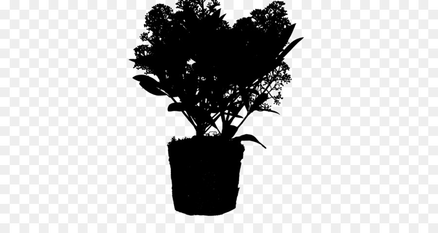 زهور，ل Houseplant PNG