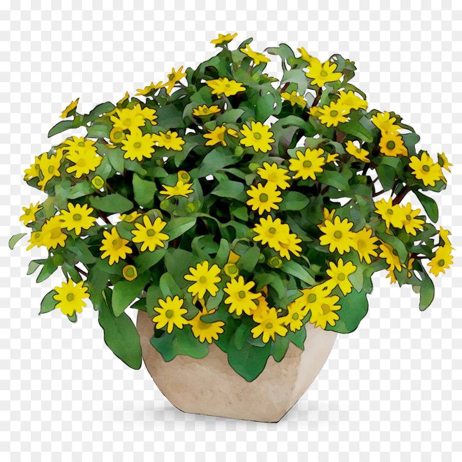 زهرة，زهور PNG