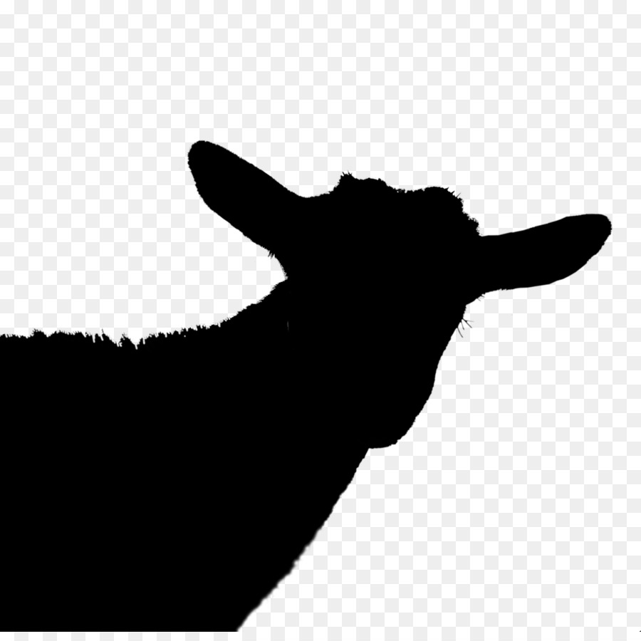 الماشية，الماعز PNG