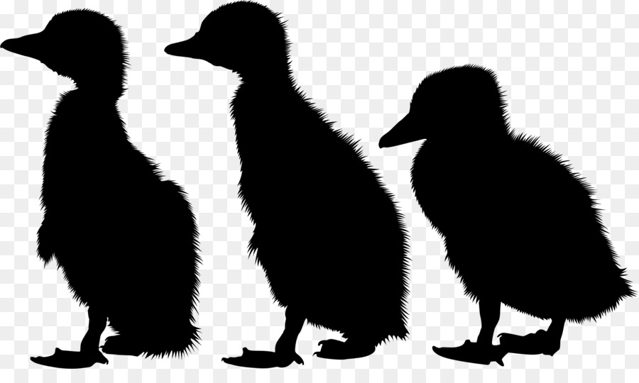 البطريق，الحيوانات PNG