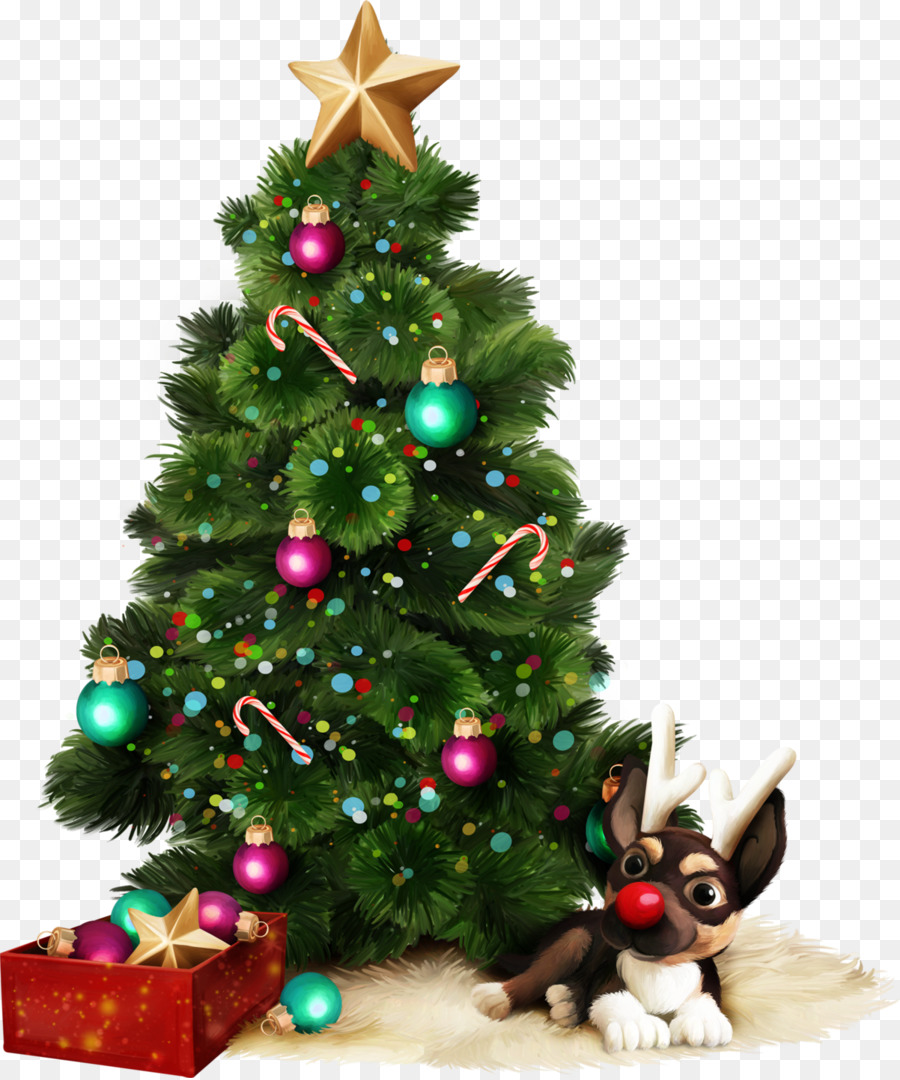 سانتا كلوز，شجرة عيد الميلاد PNG
