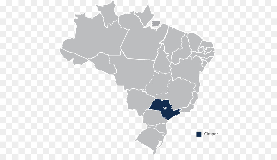 البرازيلي الانتخابات العامة عام 2018，البرازيل PNG