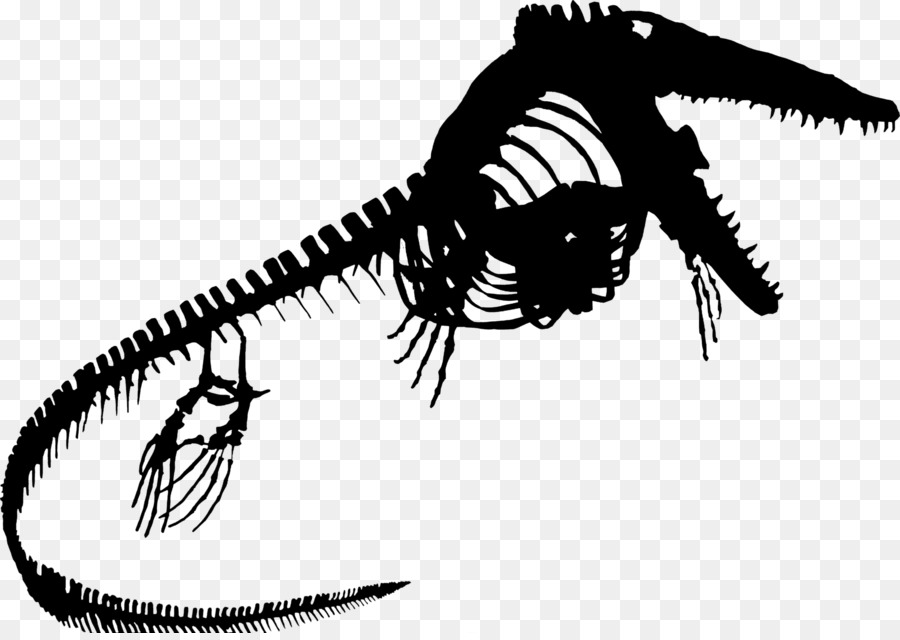 الديناصور，اللافقاريات PNG