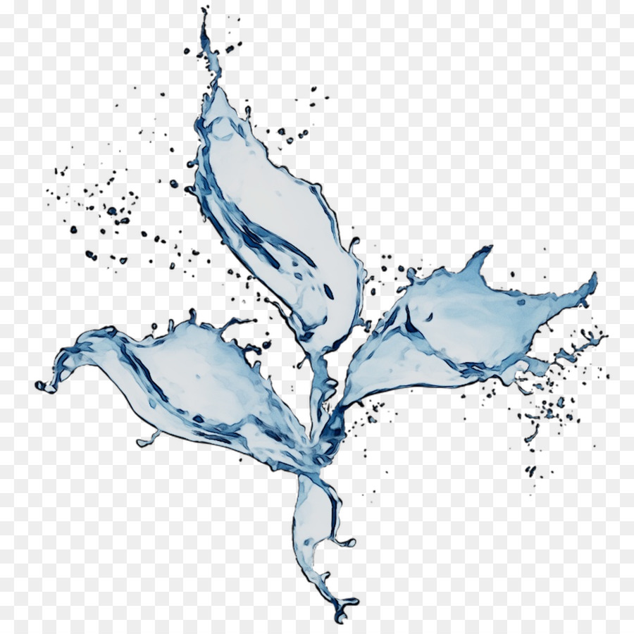 الماء，دولفين PNG