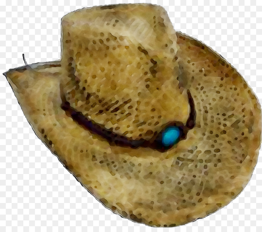 قبعة，قبعات القش الشاطئ PNG