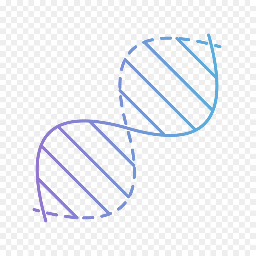 الحمض النووي الحلزون，علم الوراثة PNG