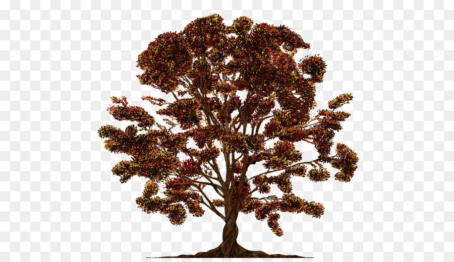 سحابة شجرة，شجرة PNG