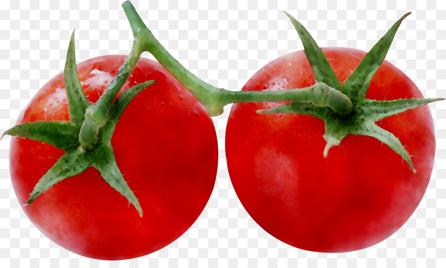 الطماطم البرقوق，الطماطم PNG