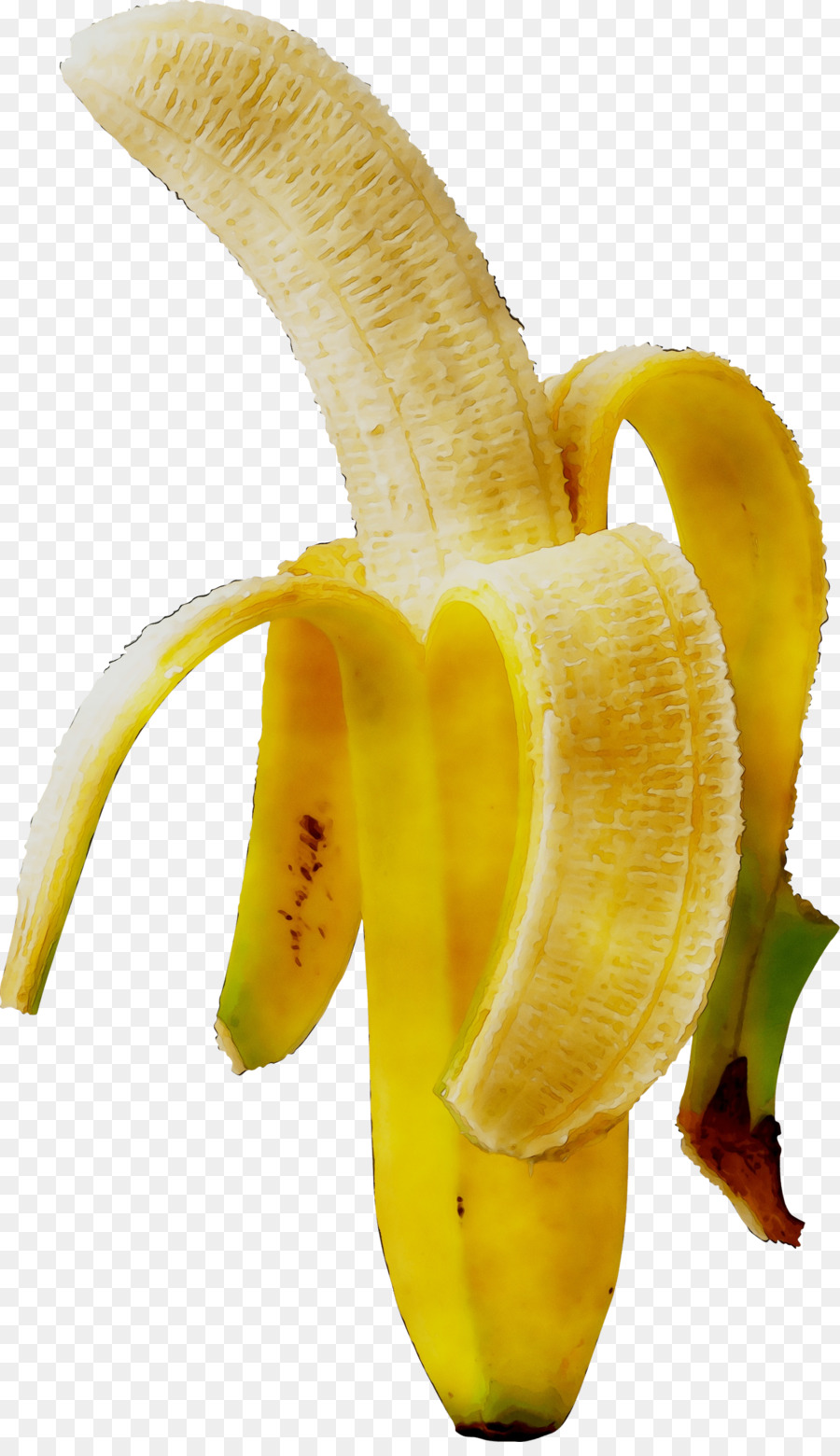 الموز，الطبخ PNG