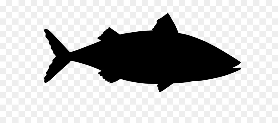 القرش，صورة ظلية ، PNG