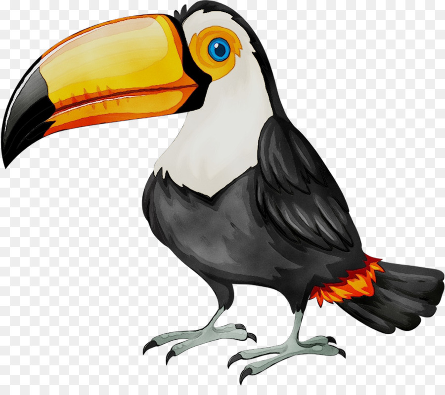 الطيور，Royaltyfree PNG