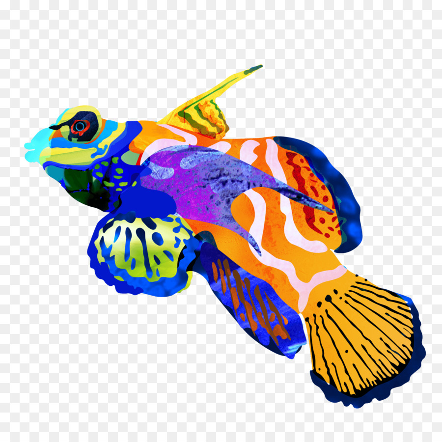 الأسماك，الحيوان PNG