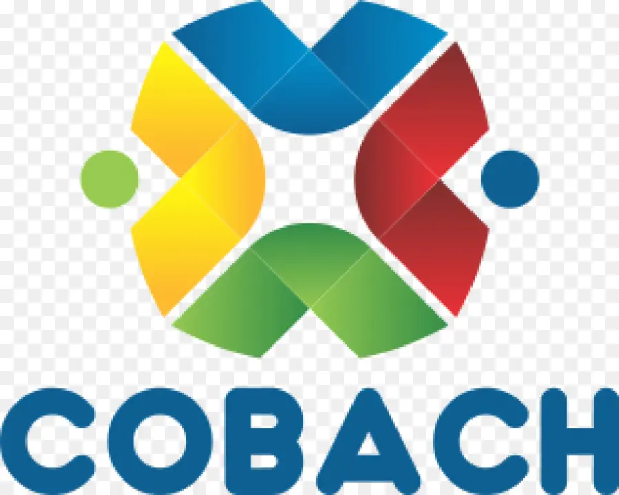 خريجي الجامعات，Cobach PNG