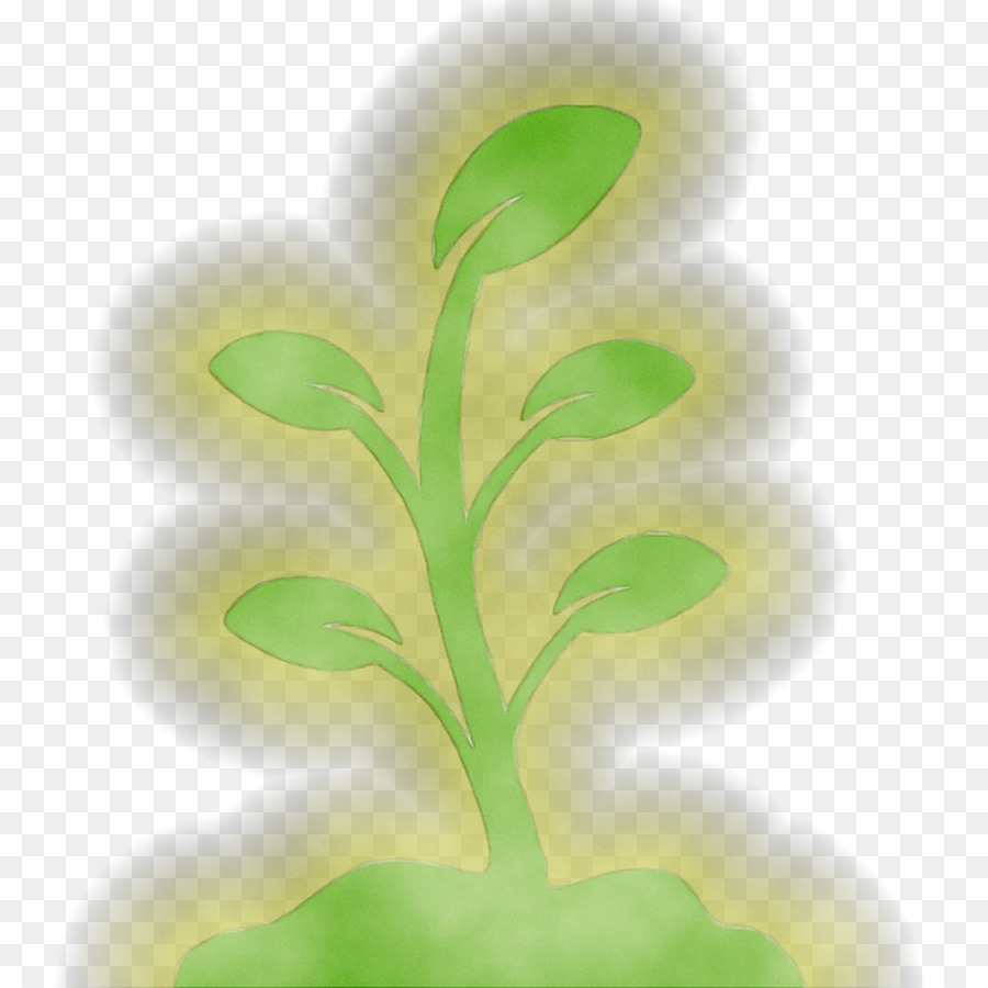 ورقة，الجذعية النباتية PNG