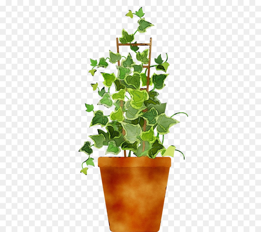 زهور，ل Houseplant PNG