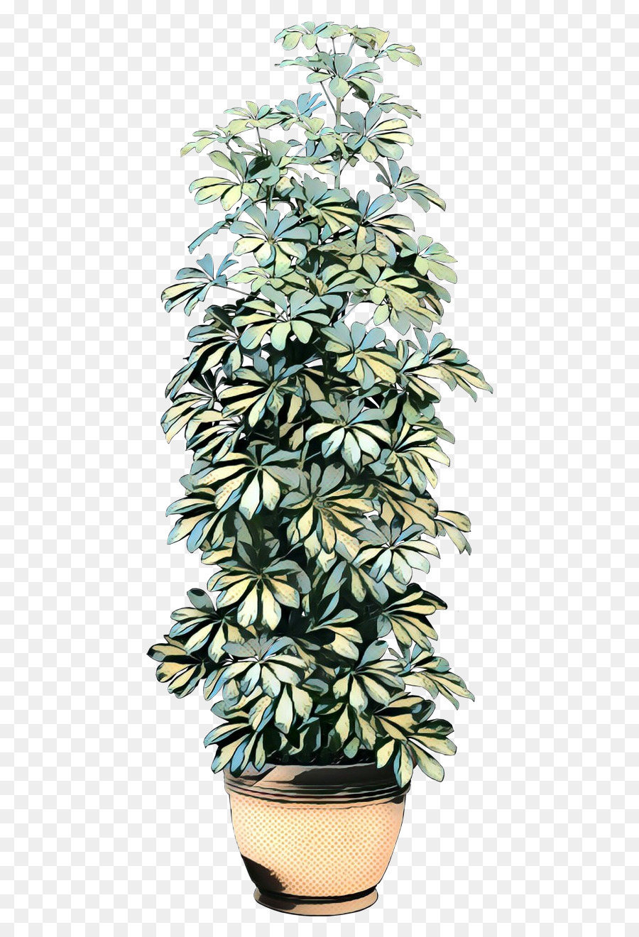 ل Houseplant，زهور PNG