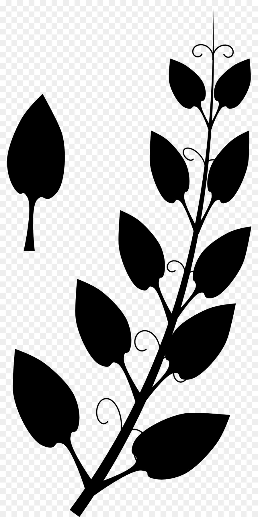صورة ظلية ،，الجذعية النباتية PNG