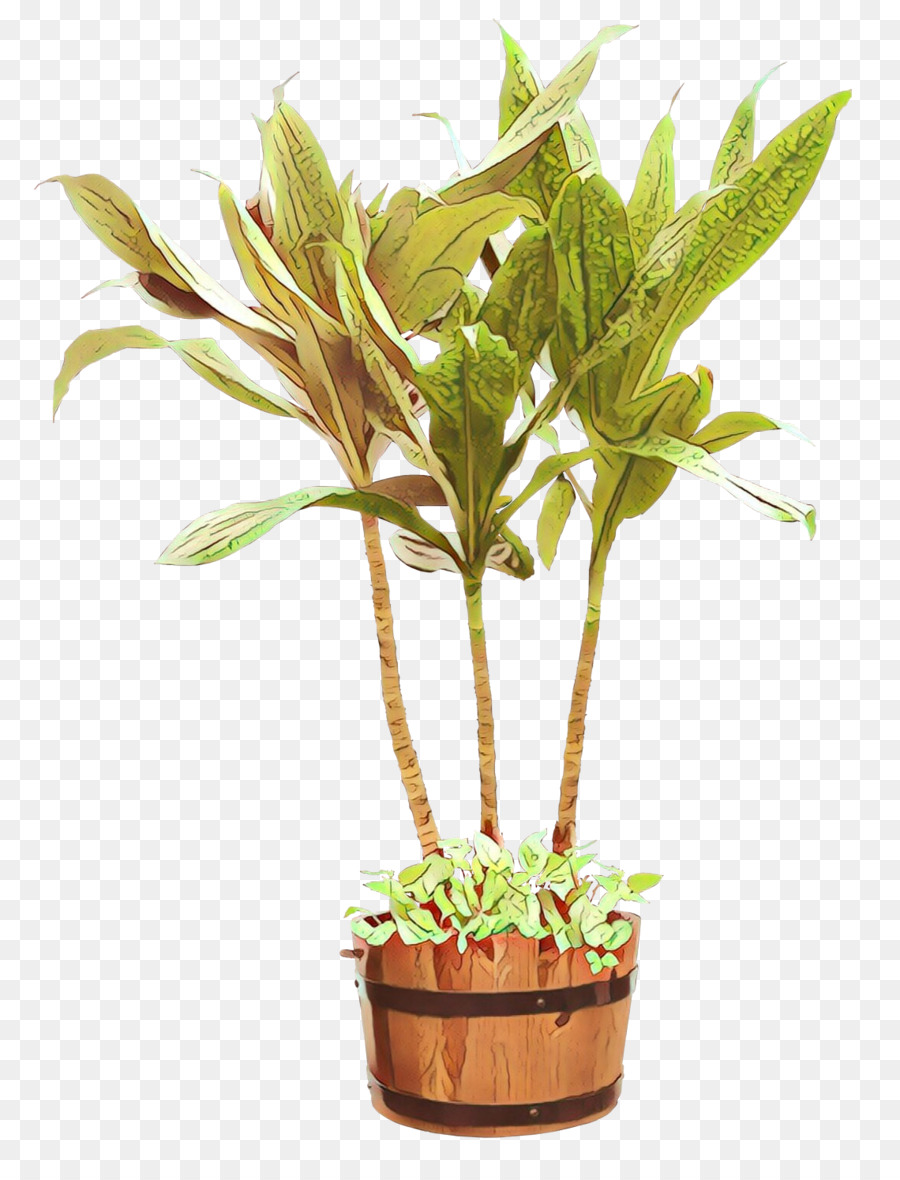 ل Houseplant，زهور PNG
