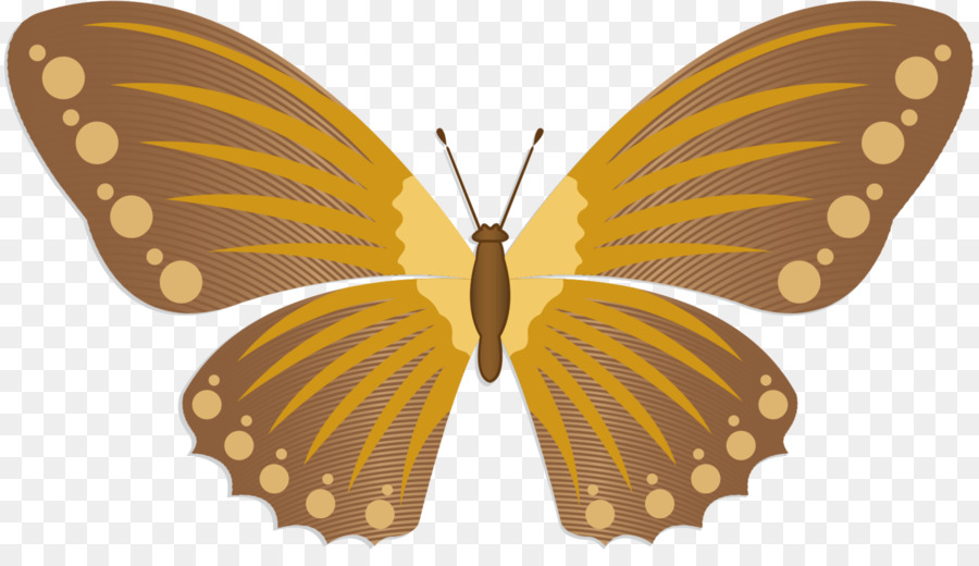 العاهل الفراشة，بيريداي PNG