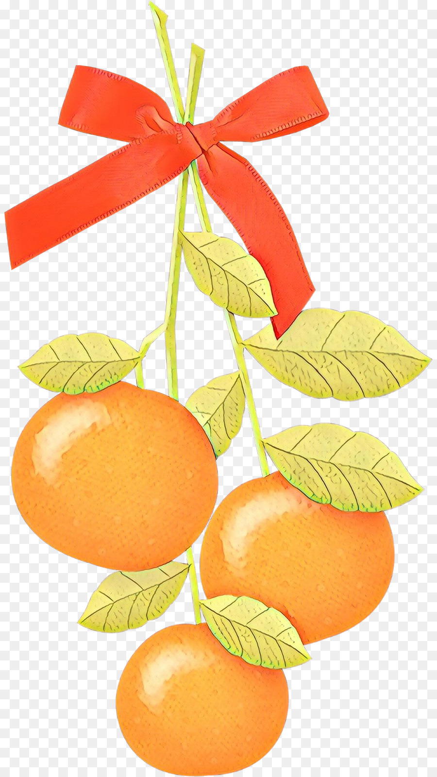 كليمنتين，برتقال PNG