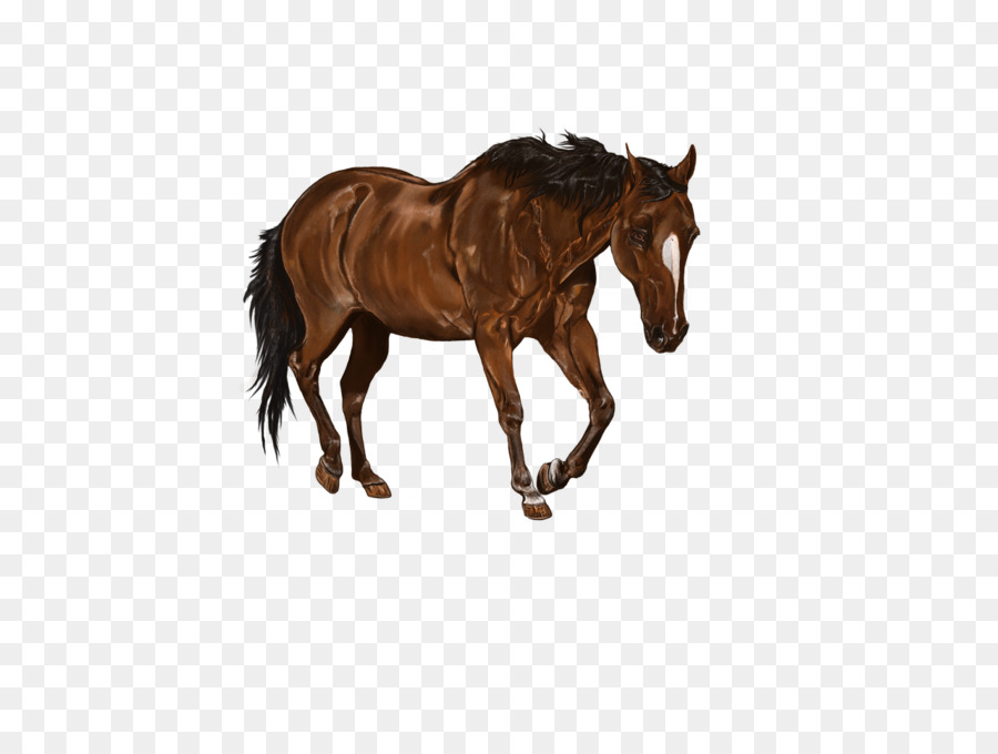 الحصان，الفن الرقمي PNG