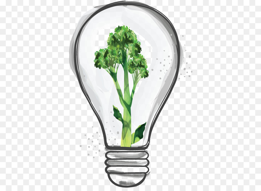Broccolini，الخضر PNG