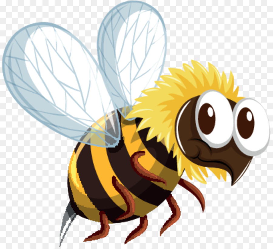 النحل，خلية النحل PNG