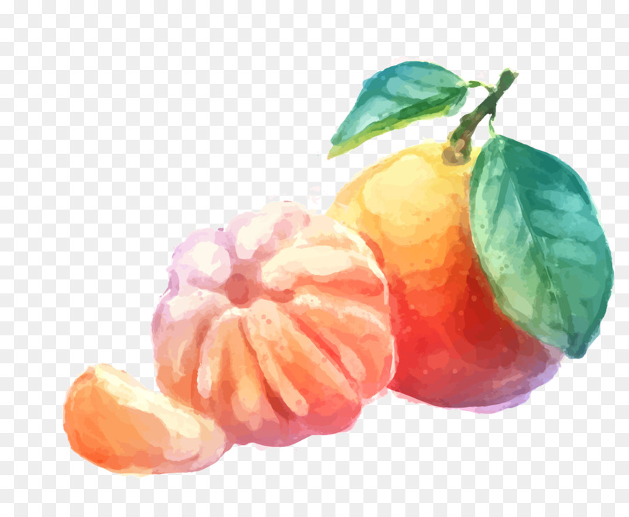 برتقال，البرتقال PNG