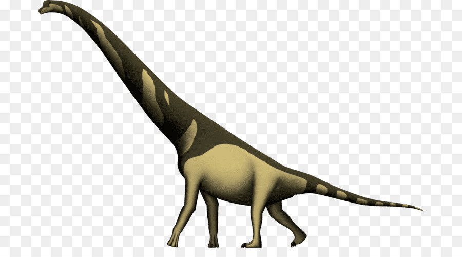 Cedarosaurus，الزرافات PNG
