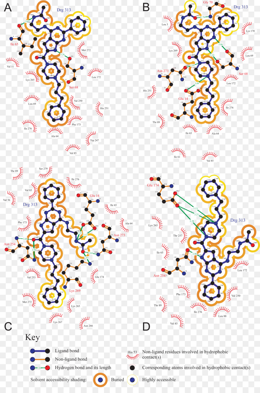 التصميم الجرافيكي，الجلوكوز أوكسيديز PNG