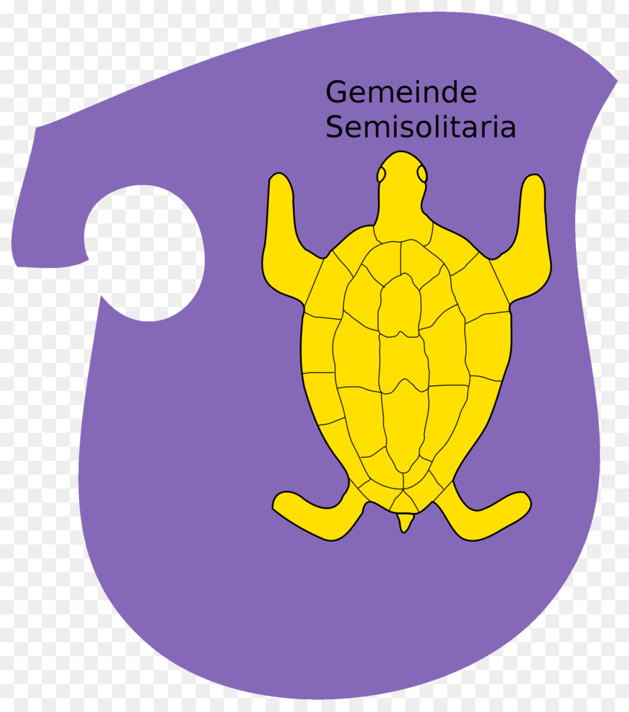 السلاحف البحرية，السلحفاة م PNG