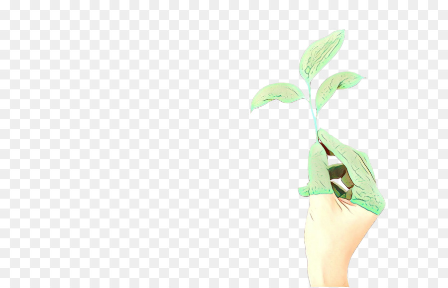 الجذعية النباتية，البديل الخدمات الصحية PNG