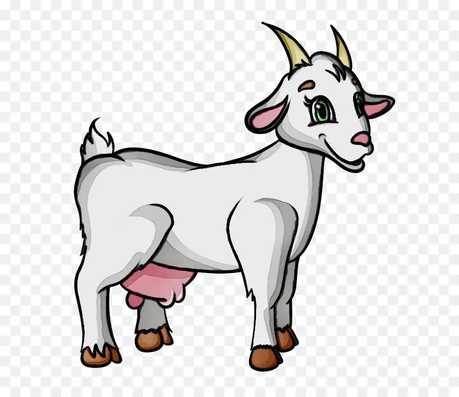 الماعز，الماشية PNG