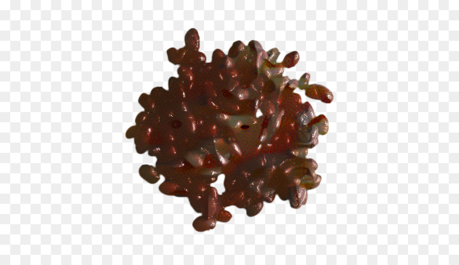الشوكولاته，شجرة PNG