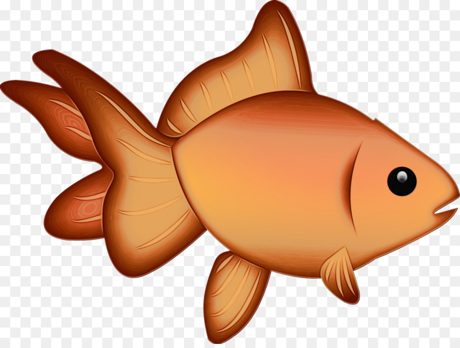 الأسماك العظمية，علم الأحياء البحرية PNG
