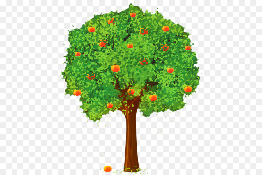 أبل，شجرة PNG