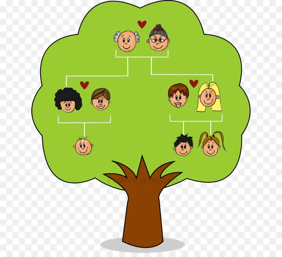 شجرة العائلة，الأسرة PNG